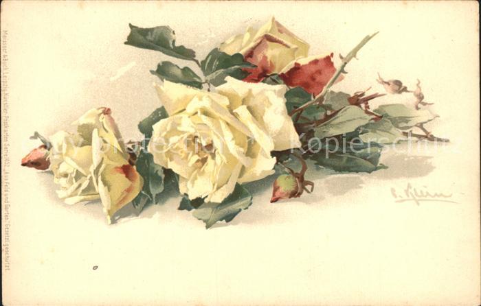 Klein Catharina Kuenstlerlitho Rosen Litho