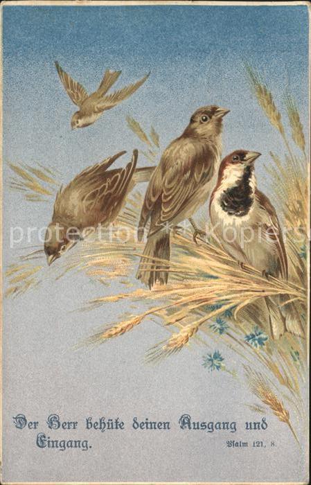 Voegel Birds Oiseaux Uccelli Pajaros-- Litho Psalm Weizen
