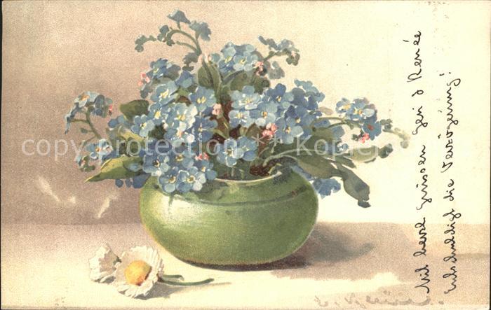 Klein Catharina Kuenstlerlitho Vergissmeinnicht Gaensebluemchen Litho