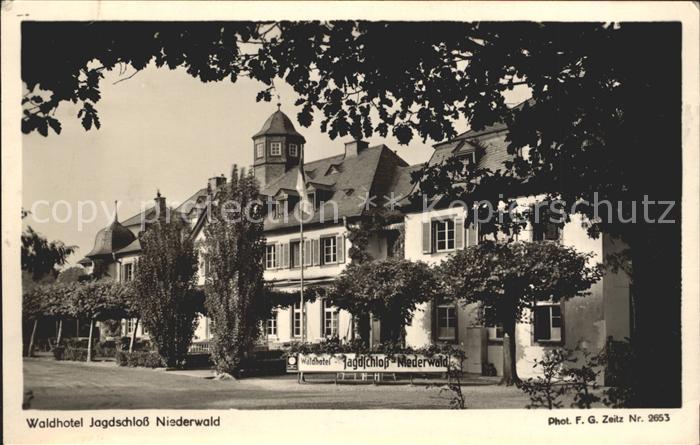 Foto Zeitz F.G. Nr. 2653 Waldhotel Jagdschloss Niederwald