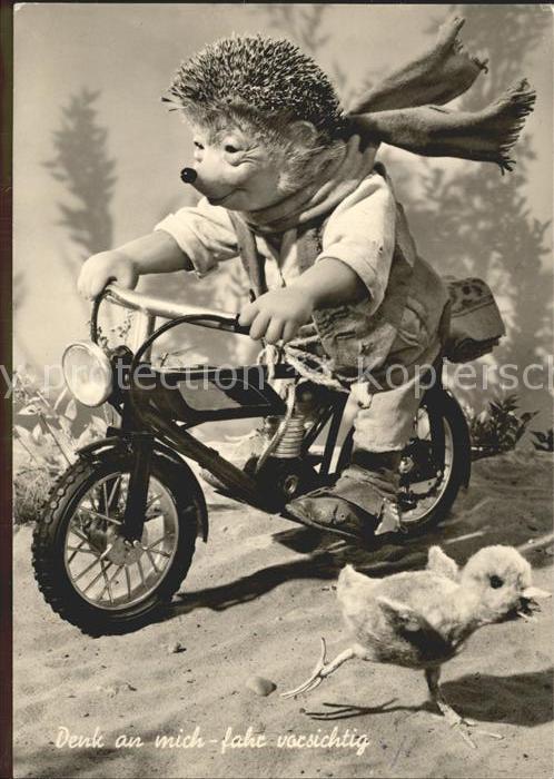 Mecki Nr. Mofa Kueken