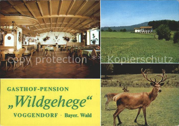Voggendorf Feuchtwangen Gasthaus Pension Wildgehege