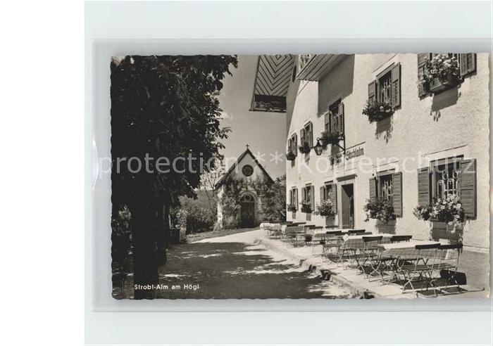 Anger Bayern Strobl-Alm am Hoegl