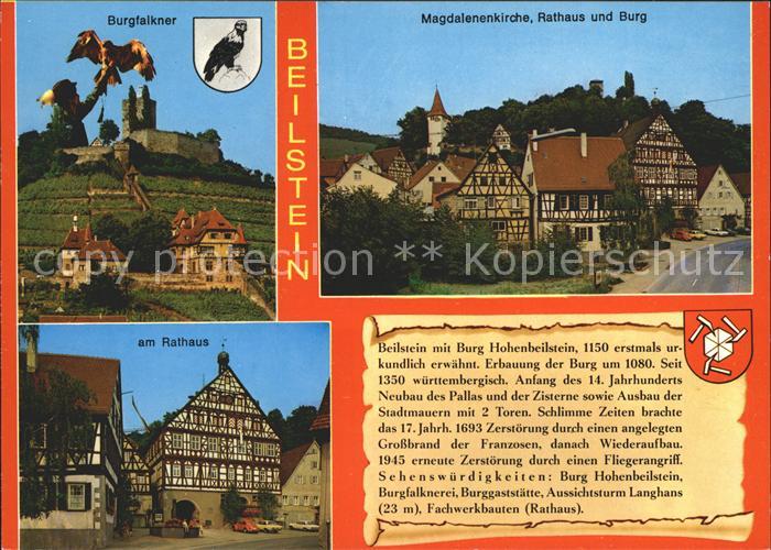 Beilstein Wuerttemberg Burgfalkner Magdalenenkirche Rathaus Burg Am Rathaus