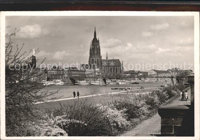 Frankfurt Main Mainpartie mit Dom