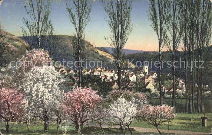 Auerbach Bergstrasse Ortsansicht im Fruehling