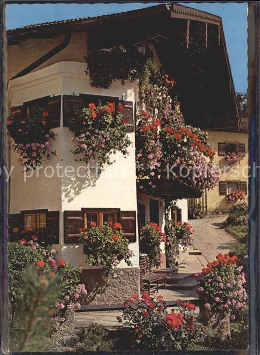 Neubeuern Blumenhaus