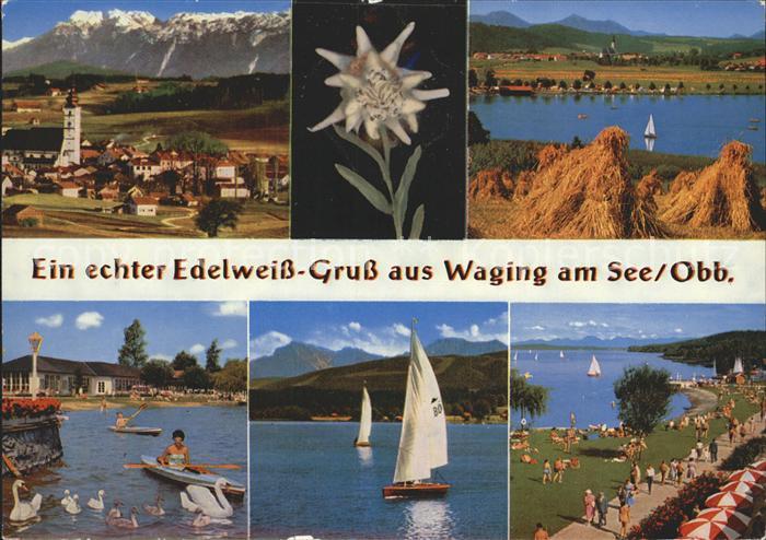 Waging See mit Untersberg Chiemgaubergen Strandkurhaus See mit Staufen und Zwies