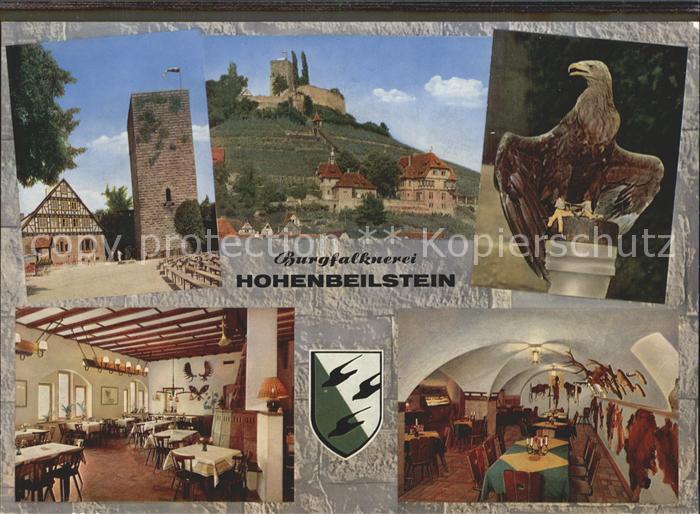 Heilbronn Neckar Burgfalknerei Hohenbeilstein Burggaststaette Mittelalterliches