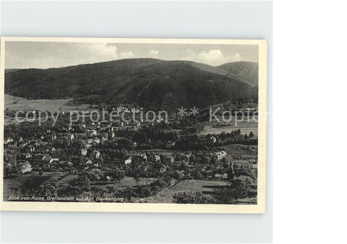 Bad Blankenburg Totalansicht von der Ruine