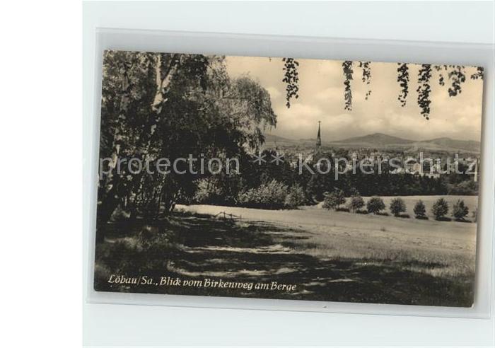 Loebau Sachsen Blick vom Birkenweg am Berge