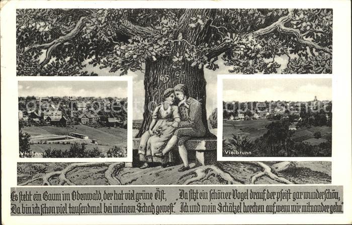 Vielbrunn Ortsansichten Alter Baum