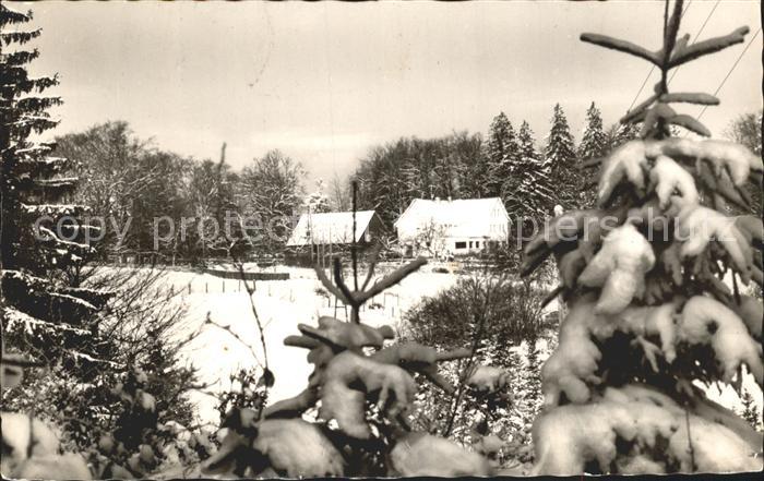 Michelstadt Hoehenpension Reussenkreuz