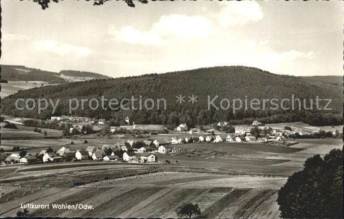 Wahlen Odenwald Panorama