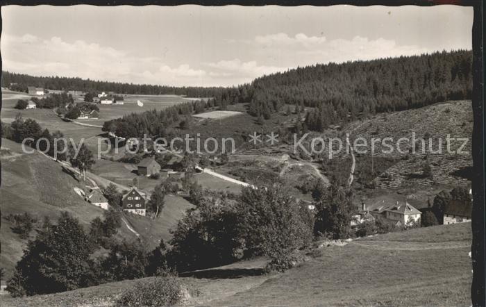 Huetten Warmensteinach Panorama