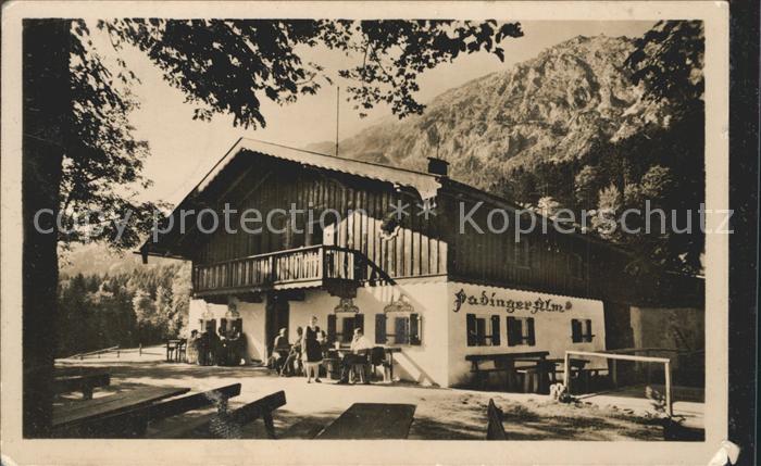 Bad Reichenhall Padinger Alm mit Staufen