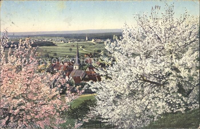 Alsbach Bergstrasse Panorama Fruehlingsbluete