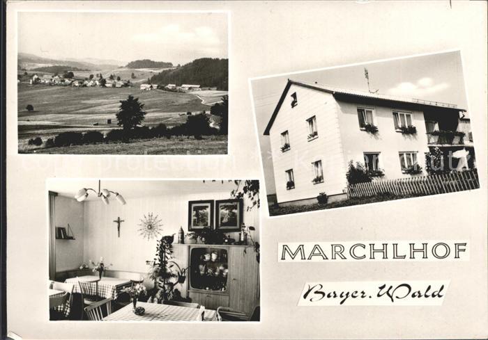 Mitterbichl Marchlhof Gaststube Panorama