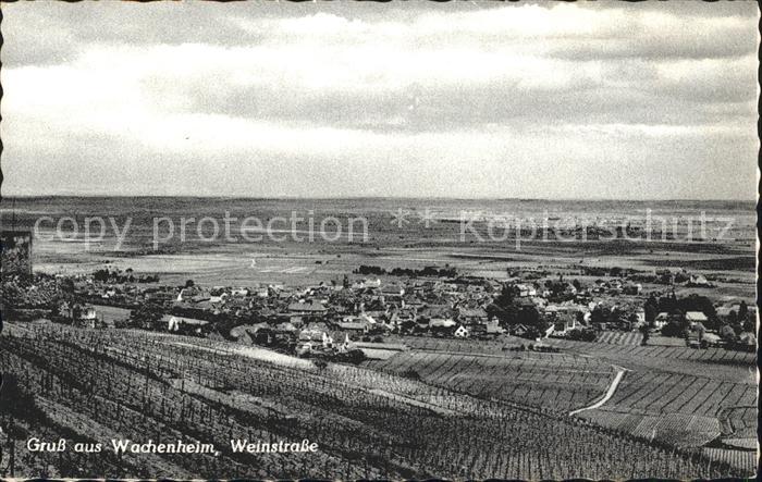 Wachenheim Weinstrasse