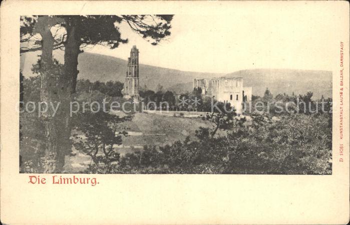 Bad Duerkheim Die Limburg