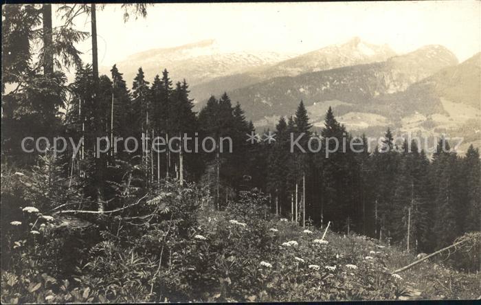 Kempten Allgaeu Waldpartie