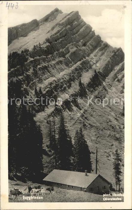 Steibis Oberstaufen Bayern Rindalphorn