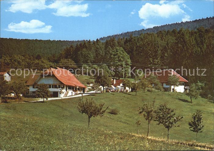 Oberharmersbach Bergwitschaft Durben Ferienwohnungen