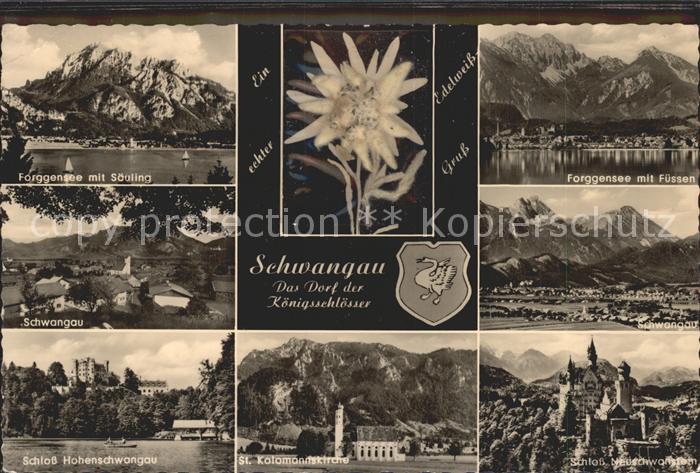 Schwangau Koenigsschloesser Neuschwanstein Hohenschwangau Forggensee mit Saeulin