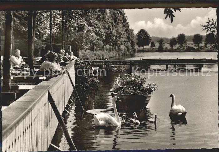Bad Woerishofen Waldsee Schwaene