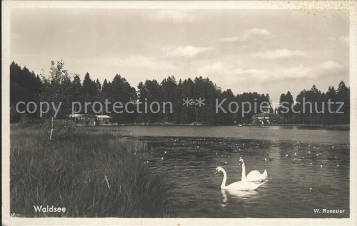 Scheidegg Allgaeu Waldsee Schwaene Pension Schweizerhaus