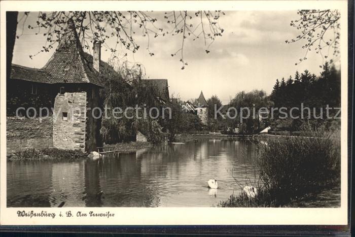 Weissenburg Bayern Seeweiher Schwan