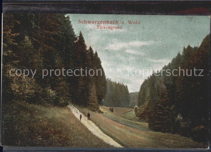 Schwarzenbach Wald Tuerkengrund