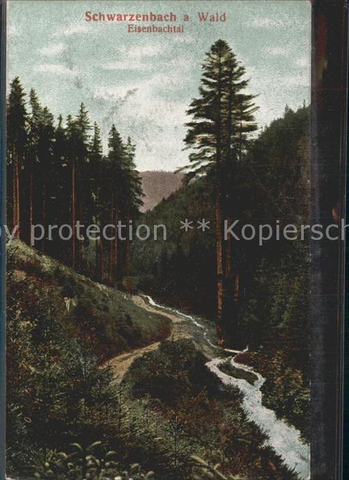 Schwarzenbach Wald Eisenbachtal