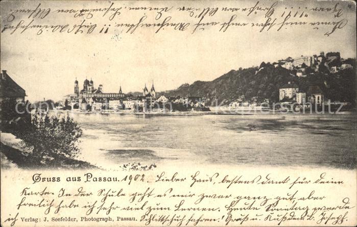 PAssAU Bayern Panorama Dreifluessestadt