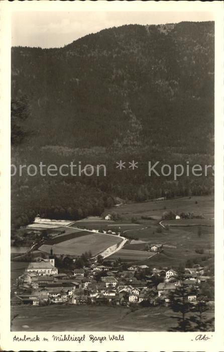 Arnbruck mit Muehlriegel