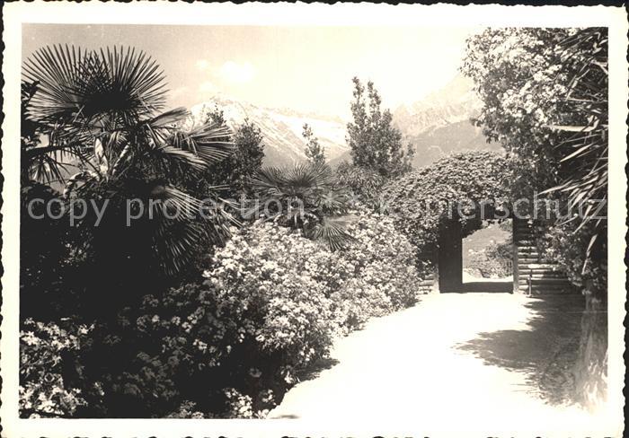 Meran Merano Tappeinerweg