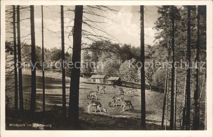 Hagen Westfalen Wildpark im Stadtwald