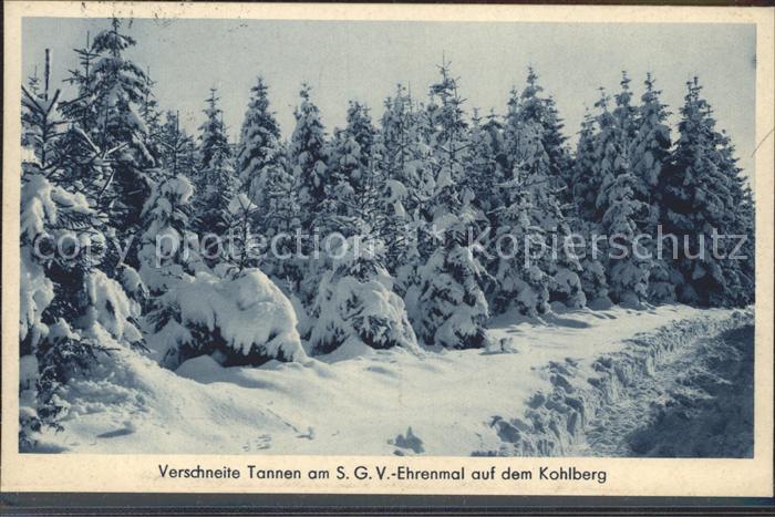 Dahle Altena Winteridyll am Ehrenmal auf dem Kohlberg