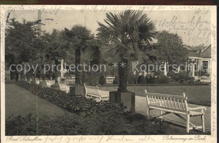Bad Salzuflen Palmenweg im Park