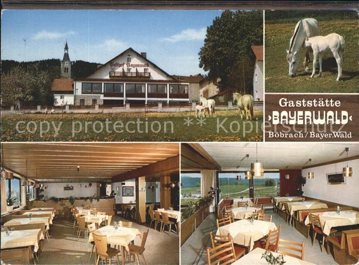 Boebrach Gaststaette Bayerwald Gastraeume Stute mit Fohlen