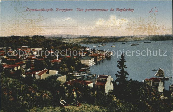 Istanbul Constantinopel Bosphore