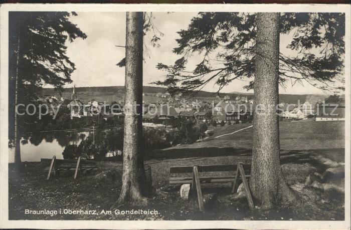 Braunlage Harz am Gondelteich
