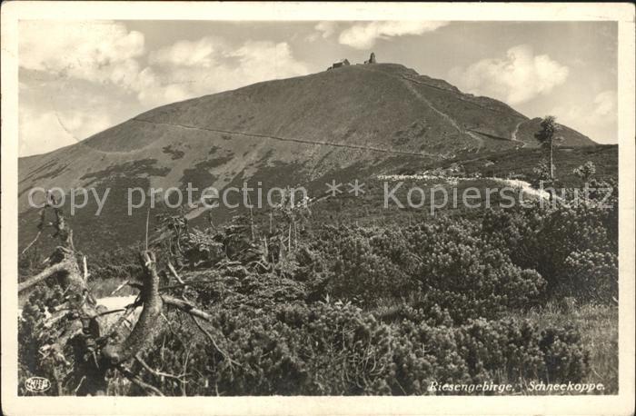 Riesengebirge Krkonose Karkonosze Schneekoppe