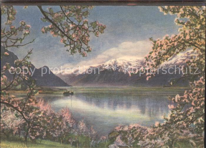 Hardanger Seepanorama