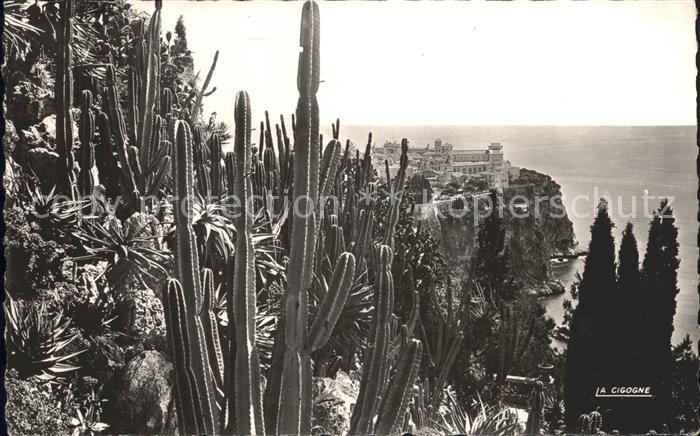 Kakteen Monaco Jardin Exotique Rocher
