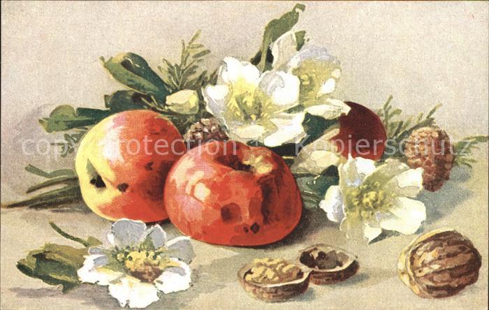 Blumen Christrosen Apfel Walnuss