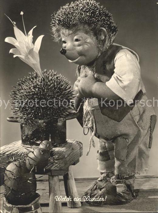 Mecki Nr. 18 Kaktus Blume