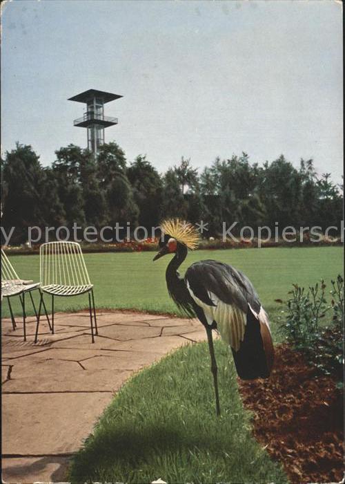 Bundesgartenschau Kranenkranich Tal der Rosen