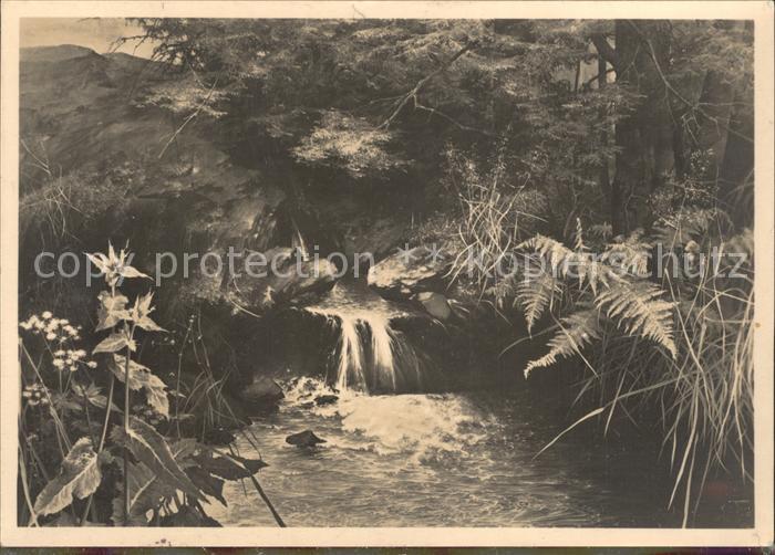 Verlag HDK Nr. 397 Willy Kriegel Die Quelle