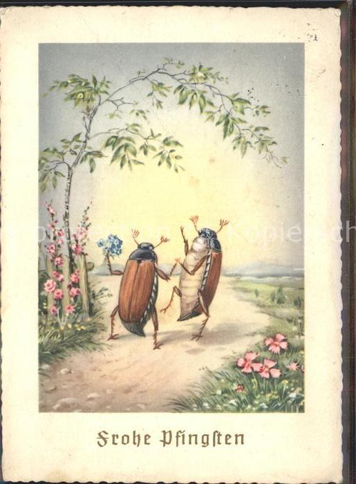 Vermenschlicht Maikaefer Pfingsten